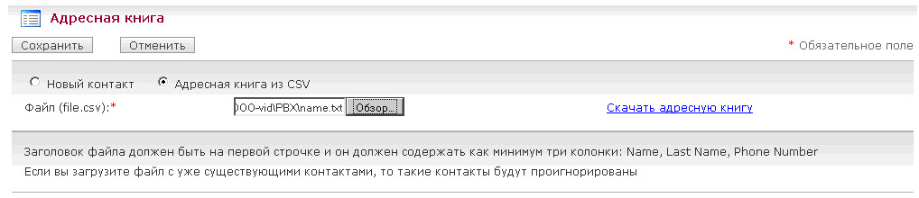 238.jpg